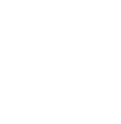 stele-logo-musee-basse-navarre-blanc